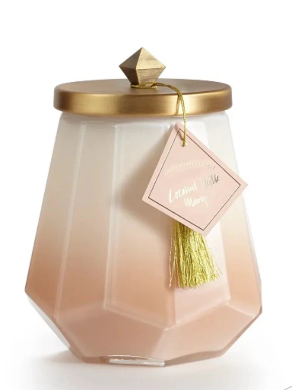 NWOT Coconut Milk Mango Jar Candle